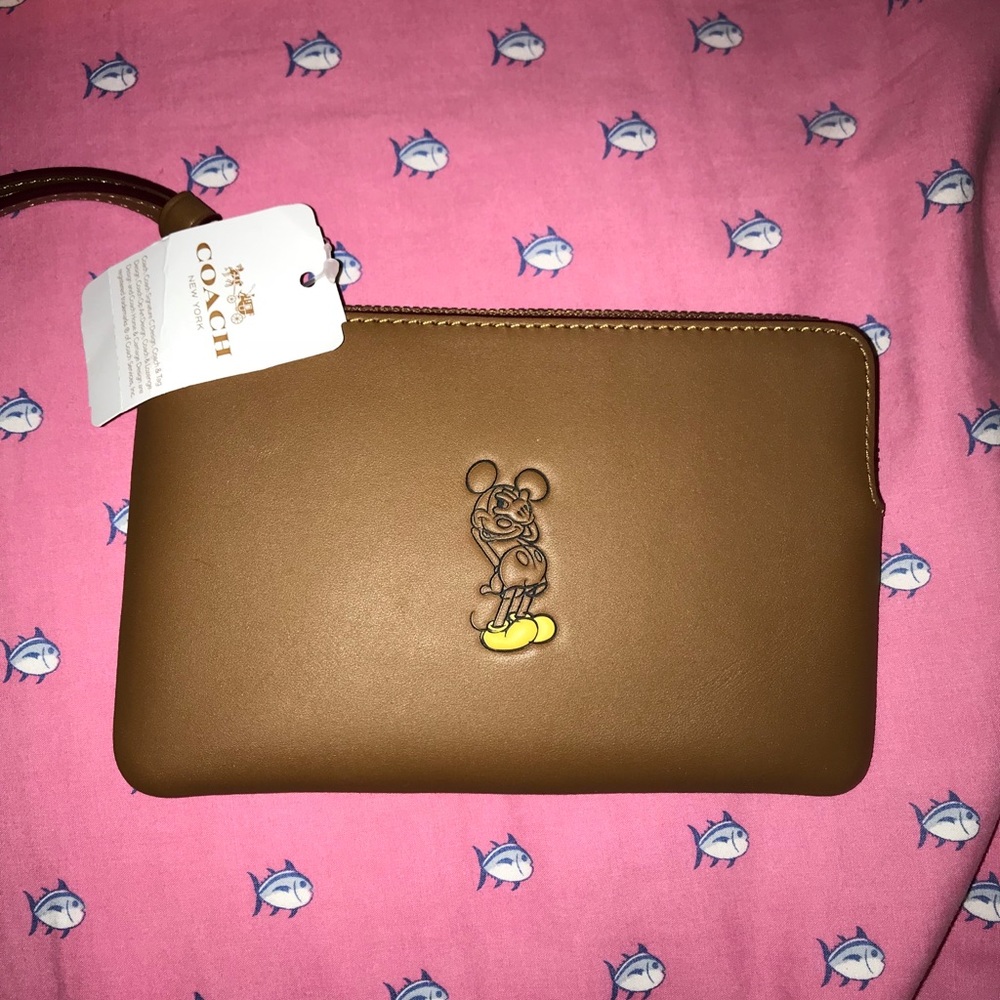 Disney x coach